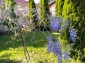 13420:9 - House for sale whit swimingpool near Balchik!DREAM HOLIDAY HOME!