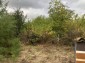 13425:4 - Hоuse for sale with big yard near Balchik!