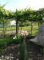 13428:10 - House for sale near Dobrich. Exclusive offer!