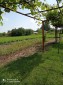13428:8 - House for sale near Dobrich. Exclusive offer!