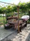 13428:14 - House for sale near Dobrich. Exclusive offer!