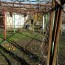 13445:17 - Rural property for sale near Varna