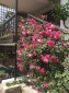 13450:37 -    SUNSHINE LUXURY HOME for sale , region Varna!
