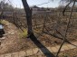 13478:7 - Rural property for  sale only 5 km to the beach!
