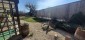 13450:56 -    SUNSHINE LUXURY HOME for sale , region Varna!