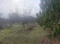 13501:7 - Traditional Renovated House whit big yard -30km to Balchik