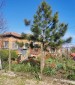 13508:1 - Rural property with a big yard 2000sq.m and two garages