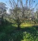 13508:7 - Rural property with a big yard 2000sq.m and two garages