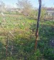 13508:10 - Rural property with a big yard 2000sq.m and two garages