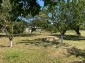 13513:6 -  IT’S A GOOD PROPERTY FOR A GOOD PRICE!  