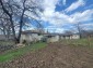 13529:3 -  EXCLUSIVE OFFER, property with 7800 sq.m gardnfor sale near Kav