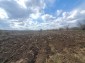 13529:4 -  EXCLUSIVE OFFER, property with 7800 sq.m gardnfor sale near Kav