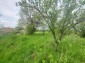 13343:20 -  Property for sale with a large yard of 3800sq.m. - region Varna