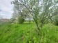 13343:28 -  Property for sale with a large yard of 3800sq.m. - region Varna