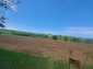 13291:18 - Old house- big  yard of 2500 sq.m. in the village of Ovcharovo