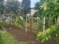 13226:28 - ENJOY THE BEAUTIFUL NATURE !Cheap property near Varna!