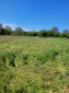 13551:8 - Rural property  for sale with a large yard of 4000sq.m.