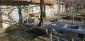 13552:2 -  BG House whit big yard 2500sq.m and 84 fruit trees! Dobrich are
