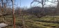 13552:3 -  BG House whit big yard 2500sq.m and 84 fruit trees! Dobrich are