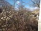 13553:23 - House in good condition with 3000 sq.m garden 26km to Popovo 