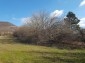 13553:40 - House in good condition with 3000 sq.m garden 26km to Popovo 