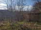 13553:39 - House in good condition with 3000 sq.m garden 26km to Popovo 