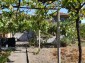 13584:4 - Cheap Bulgarian property for sale  near Galabovo Stara zagora re