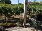 13584:30 - Cheap Bulgarian property for sale  near Galabovo Stara zagora re
