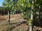 13584:73 - Cheap Bulgarian property for sale  near Galabovo Stara zagora re