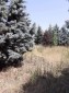 13595:15 - With a large yard of 4500 sq.m. and a new roof!