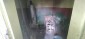 13600:12 - Sunny Bulgarian property close to Danuve river Ruse region