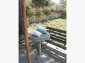 13605:20 - Bulgarian properties house in a lovely village not far to Danube
