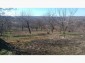 13606:4 - Bulgarian two storey house Popovo area  close to a small river