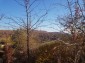 12300:95 - Cheap property for sale with lovely views near Popovo & Ruse