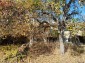 11840:4 - Cheap Bulgarian property in a calm and nice place near Popovo