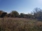 11840:5 - Cheap Bulgarian property in a calm and nice place near Popovo