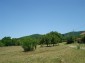 13618:1 - Two houses and 8465 sq.m land in a village 26km from Elhovo town