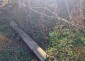 13639:13 - Rural property  for sale with a WELL and BIG yard!