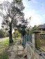 13639:32 - Rural property  for sale with a WELL and BIG yard!