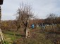 13642:16 - Cheap Rural Bulgarian propety 12 km from Targovishte 