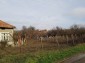 13642:25 - Cheap Rural Bulgarian propety 12 km from Targovishte 