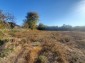 13650:8 - Nice rural house for sale near VARNA