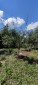 13685:18 - BULGARIAN rural PROPERTY for sale only 20km from VARNA