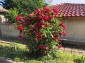 13688:1 - NEW OFFER! Bulgarian property with a big yard!