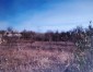 13705:3 - CHEAP HOUSE-BIG YARD  3000sq.m
