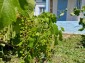 13735:3 - TYPICAL BULGARIAN STYLE near BALCHIK