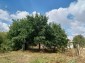 13741:8 - Holiday home 12 km from the beach