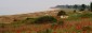 13741:15 - Holiday home 12 km from the beach