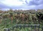 13763:15 - Cheap house whit big yard and two septic tank, Near Dobrich!