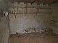 13788:25 - Rural Bulgarian house 18 km from Popovo with many outbuidlings